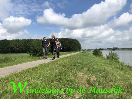 Maasdijk wandeling