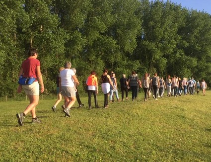 Maasdijk wandeling